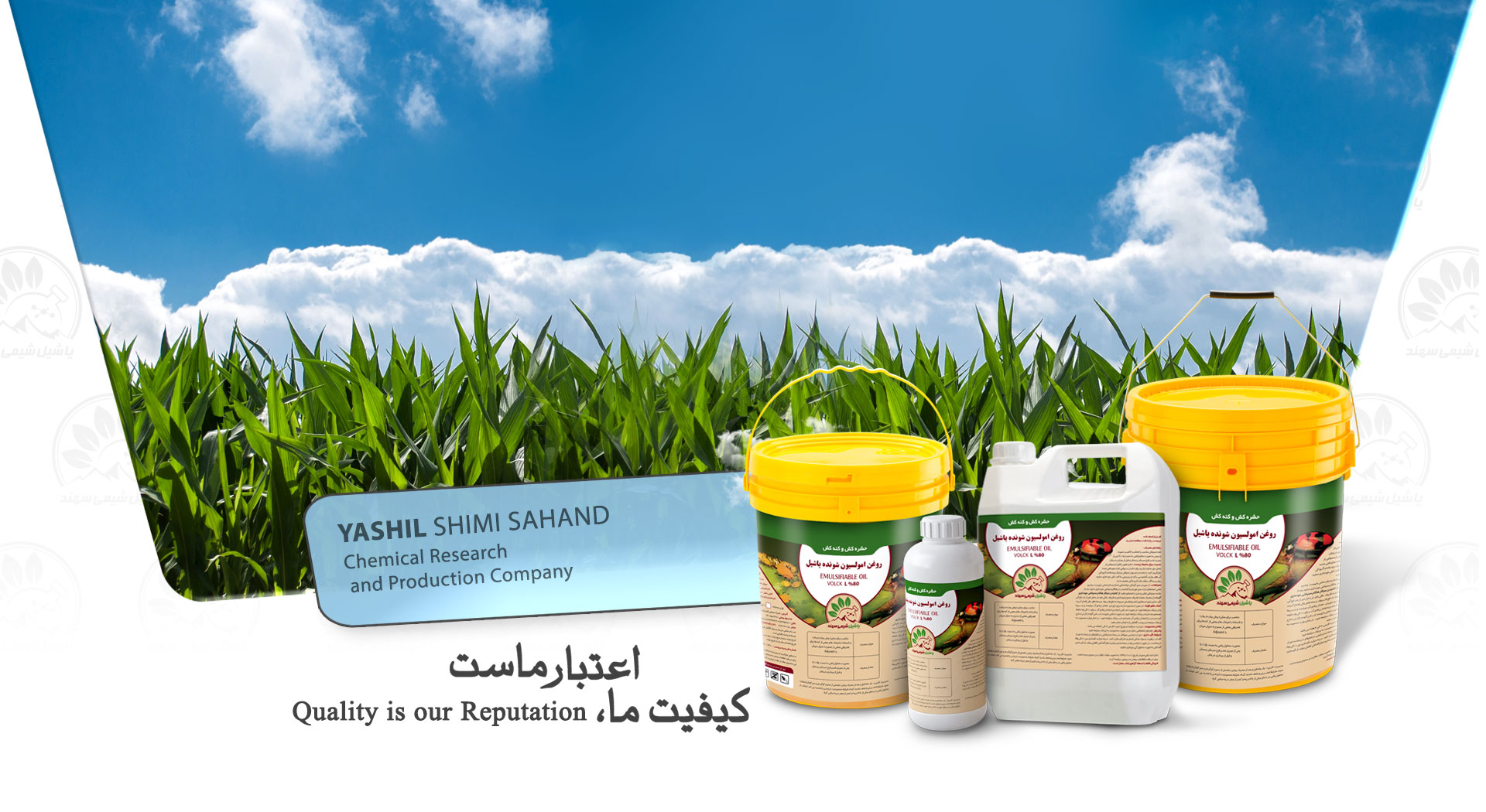 Yashil C