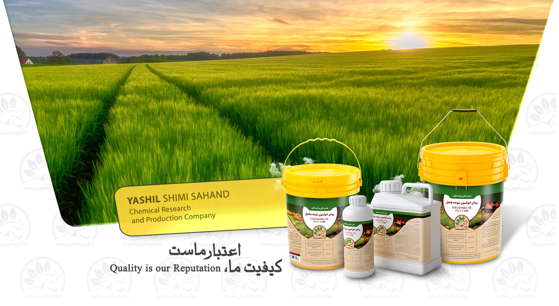 Yashil B