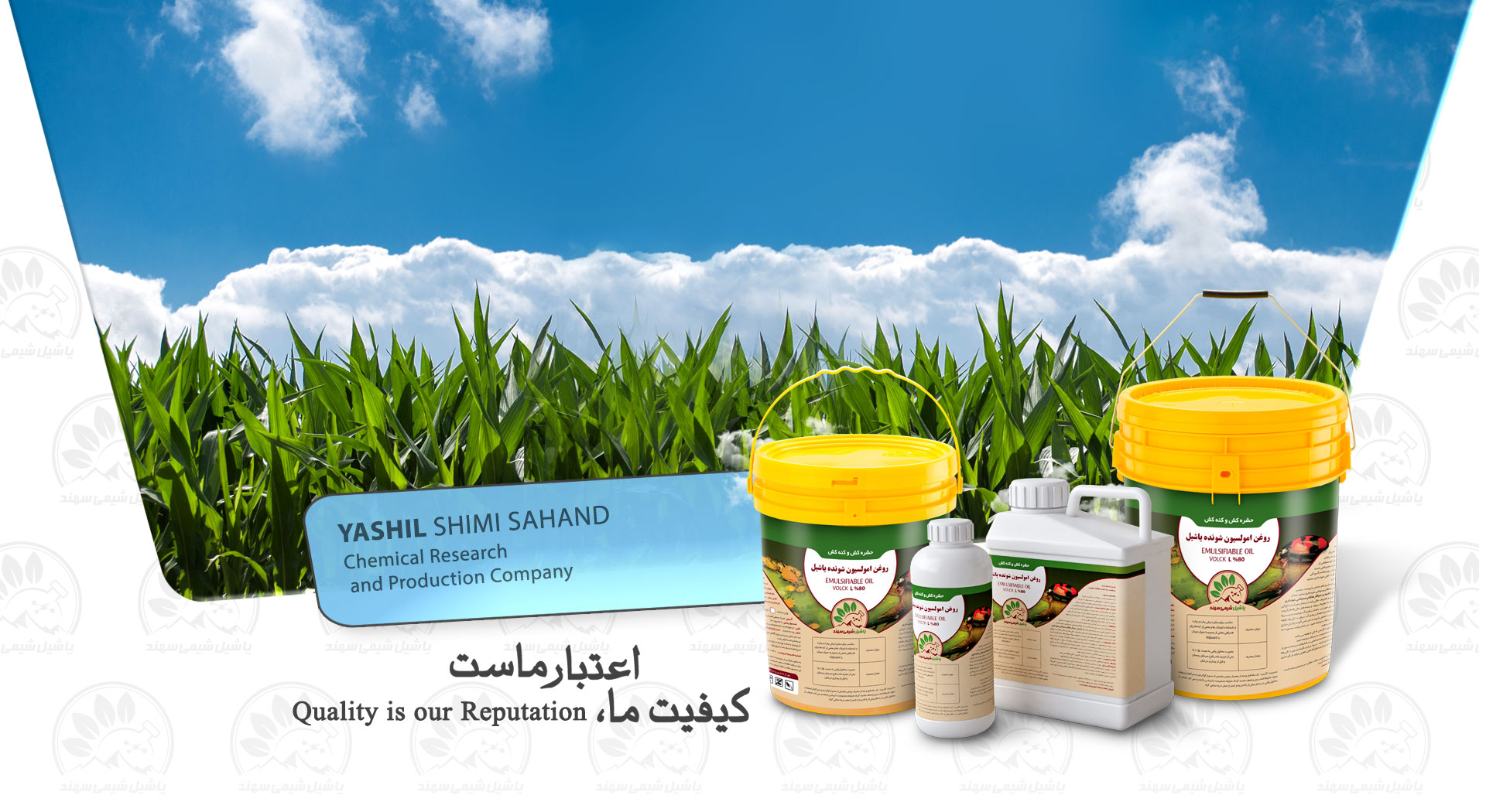Yashil C