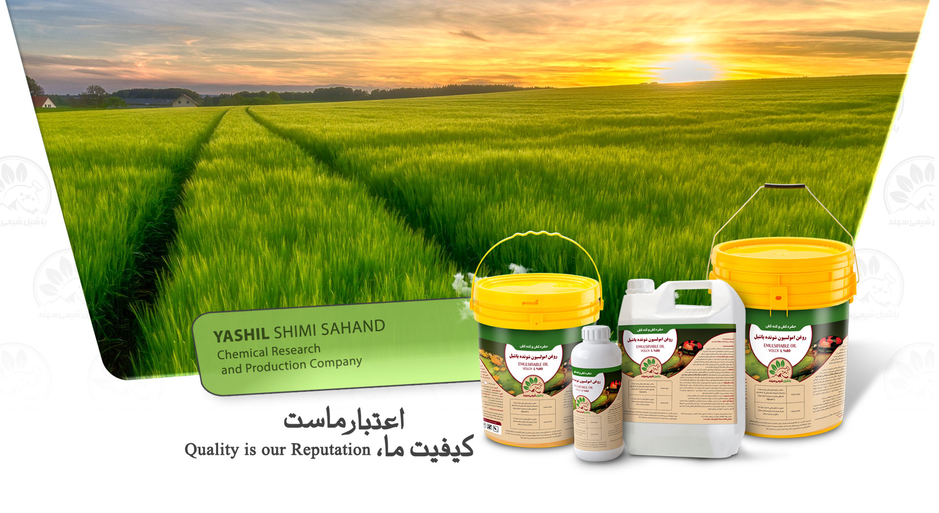 Yashil B